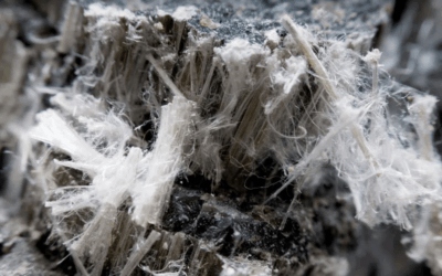Asbestos Identification and Management: Everything You Need to Know