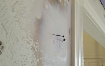 Navigating Building Defects: NSW’s Journey with the Strata Building Bond and Inspections Scheme